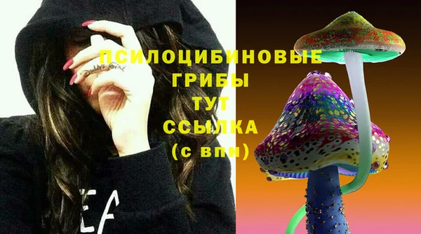 прущая мука Корсаков