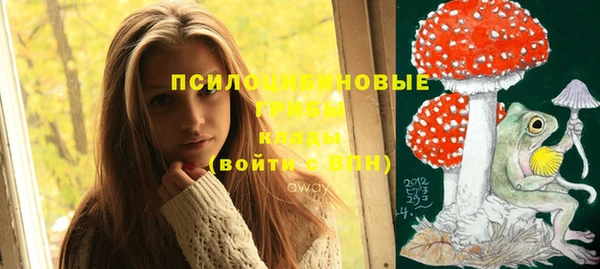 apvp Костерёво