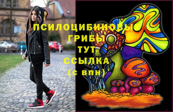 apvp Костерёво