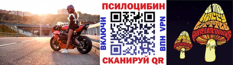 Галлюциногенные грибы Cubensis  Купить  Дудинка 