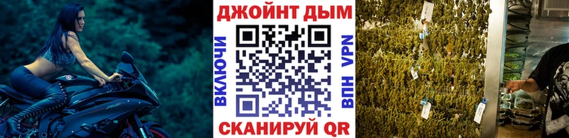 Купить где  Дудинка  Каннабис план 